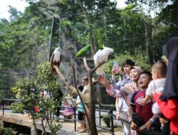 Tok! Pengadilan Putuskan Lahan Kebun Binatang Milik Pemkot Bandung