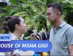 Jadwal Siaran TV SCTV Hari Ini: Cek Jam Tayang House of Mama Gigi, Melukis Senja, Tajwid Cinta, Cinta Setelah Cinta hingga Takdir Cinta Yang Kupilih