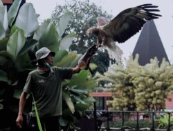 Update Harga Tiket Masuk Lembang Park and Zoo