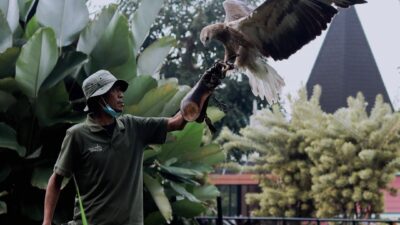 Update Harga Tiket Masuk Lembang Park and Zoo