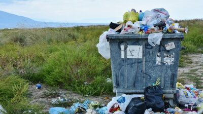 5 Cara Mudah Mengelola Sampah, Mulailah Bergerak dan Sayangi Bumi