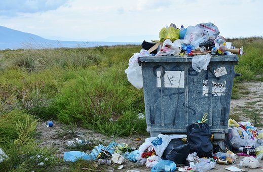 5 Cara Mudah Mengelola Sampah, Mulailah Bergerak dan Sayangi Bumi