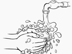 Jangan Asal, Ternyata Begini Cara Mencuci Tangan yang Benar Menurut WHO