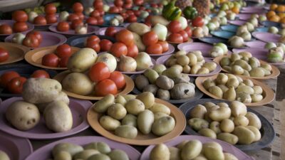 Belum Banyak yang Tahu, Ternyata Kentang dan Tomat Berpotensi Jadi Obat Kanker