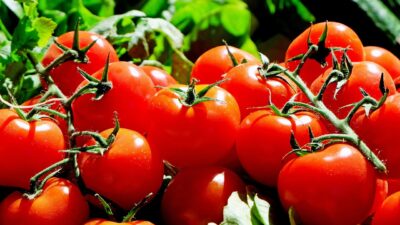 Selain Menyehatkan Mata, Inilah 5 Manfaat Makan Tomat yang Perlu Diketahui