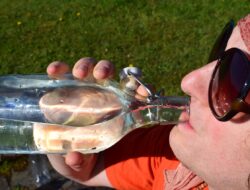 Jangan Anggap Sepele! Ini 5 Akibat Buruk Kekurangan Minum Air Putih 