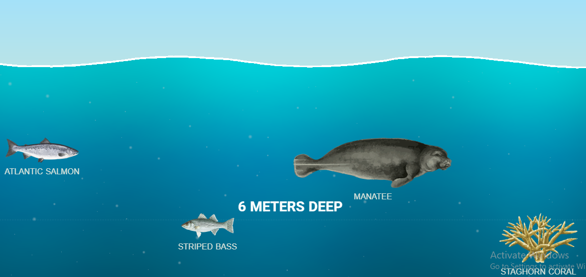the deep sea