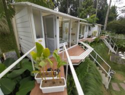 Over Easy Tawarkan Sensasi Glamour Camping Asri dan Sejuk Paling Dekat Kota Bandung