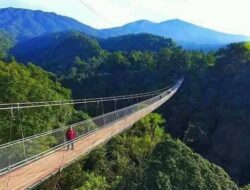 Sukabumi Miliki Jembatan Gantung Terpanjang di Asia, Berikut Harga Tiketnya