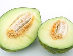 Perlu Anda Tahu, Ini Manfaat Melon untuk Kesehatan