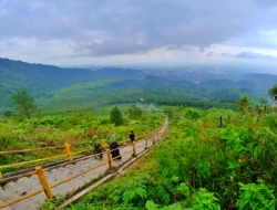 Intip Pesona Alam Gunung Galunggung, Surganya Keindahan Alam di Jawa Barat