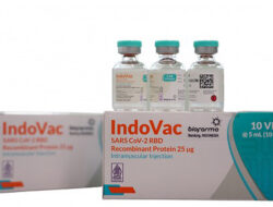 Sudah Kantongi EUA dari BPOM, Vaksin IndoVac Bio Farma Siap Digunakan untuk Booster