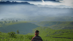 Rute Menuju Gunung Halimun Sang Mutiara Hijau Pulau Jawa