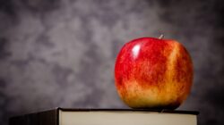 7 Fakta Menarik Tentang Buah Apel, Buah yang Digadang-Gadang Sebagai Khuldi