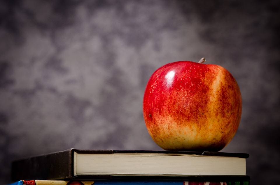 7 Fakta Menarik Tentang Buah Apel, Buah yang Digadang-Gadang Sebagai Khuldi