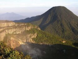 Kurang dari Sebulan Dibuka, Pendakian Gunung Gede Pangarango Kembali Ditutup