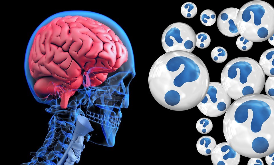 Membongkar Perbedaan Antara Otak Kanan dan Otak Kiri, Soal Perannya dalam Kehidupan Manusia