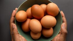 Bagaimana Membedakan Telur yang Segar dan Busuk? Begini Caranya