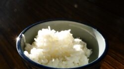 makanan pengganti beras