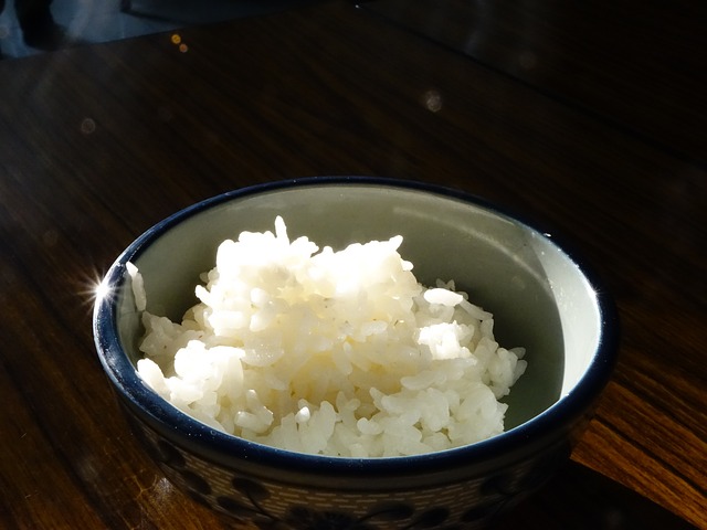 makanan pengganti beras