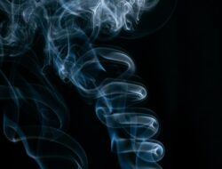 Harus Tahu, TAR Pemicu Utama Penyakit Akibat Merokok
