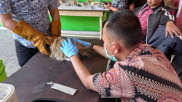 Vaksinasi Rabies dan Flu Burung Kembali Digelar di Cimahi