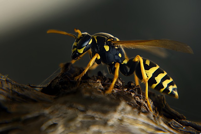 Hati-hati! Ini 6 Jenis Gigitan Serangga yang Wajib Kamu Waspadai