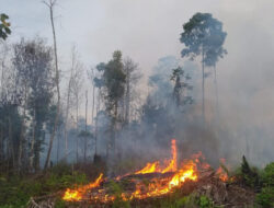 Wilayah Conggeang Sumedang Berpotensi Terjadi Bencana Kebakaran Hutan dan Lahan