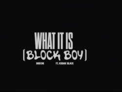 Lirik Lagu What It Is – Doechii Feat. Kodak Black, Lagu Baru yang Viral di TikTok