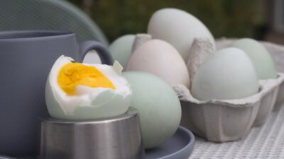 Miliki Banyak Kandungan Gizi, Ini 5 Kelebihan Telur Bebek Dibanding Telur Ayam