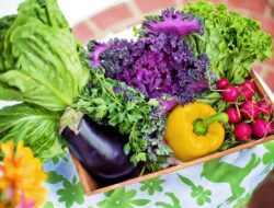 5 Rekomendasi Sayuran bagi yang Sedang Menjalankan Diet Sehat