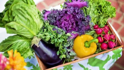 5 Rekomendasi Sayuran bagi yang Sedang Menjalankan Diet Sehat
