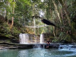 Ada Hidden Gem di Kalimantan Tengah, Inilah 4 Rekomendasi Wisata Air Terjun yang Wajib Anda Kunjungi