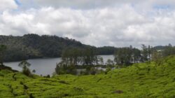 Traveling ke Situ Patenggang, Menelusuri Sejarah Danau yang Mengalir Indah di Selatan Kota Bandung