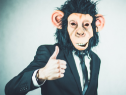 Mengenal Istilah Monkey Business dan Cara Menghindarinya