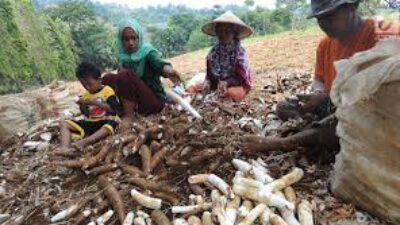 Tidak Makan Nasi Selama Satu Abad, Ini Potret Kehidupan Masyarakat Kampung Cireundeu di Cimahi