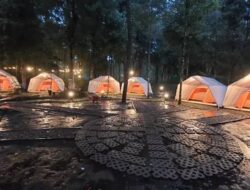 Rekomendasi 3 Tempat Camping di Ciwidey, Kabupaten Bandung