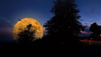Mengenal Nyawang Bulan, Tradisi Sunda untuk Sambut Bulan Purnama