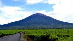 3 Taman Nasional Terbaik di Jawa Barat, Petualangan Paling Seru bagi Pecinta Alam