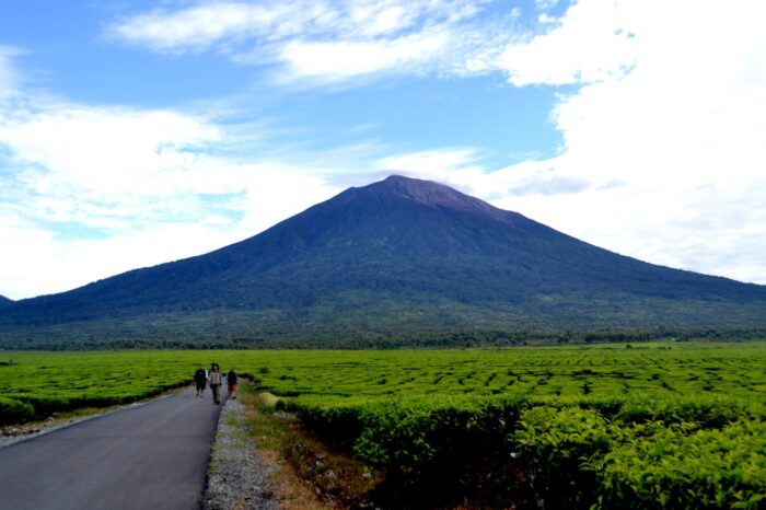 3 Taman Nasional Terbaik di Jawa Barat, Petualangan Paling Seru bagi Pecinta Alam