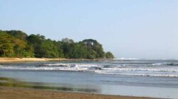 5 Hal Seru yang Bisa Kamu Lakukan di Pantai Sancang Garut, Tempat Healing Paling Keramat di Indonesia