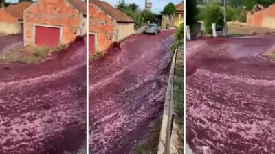 Fenomena Unik Kota di Portugal Dibanjiri 2,2 Juta Liter Wine