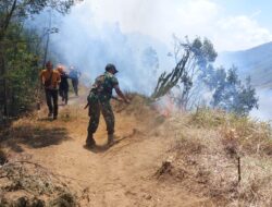 Imbas Kebakaran di Bukit Teletubbies, Pintu Masuk Kawasan Gunung Bromo Ditutup