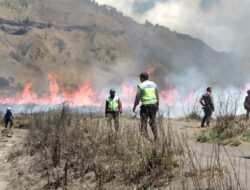Kebakaran di Bromo, KLHK Ungkap Penyebab Api Sulit Dipadamkan