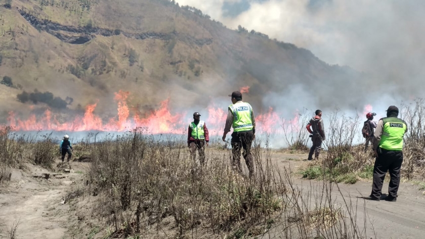 Gunung Bromo Tutup Total! Kebakaran Kian Meluas hingga Melalap Ratusan Hektar Lahan Hijau