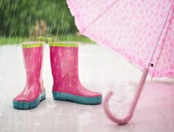 BMKG Prediksi Awal Musim Hujan Antara Oktober-Desember, Cek Daerah Mana Paling Dulu
