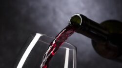 Menelisik Asal Muasal Minuman Wine Dari Peradaban ke Peradaban Lainya
