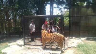 Lembang Park and Zoo Berbagi Kebahagiaan dengan Ratusan Anak Yatim