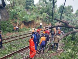 Pohon Tumbang Melintang di Atas Rel, Perjalanan Kereta Bandung Jakarta Sempat Terganggu