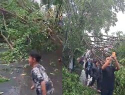 Badai Terjang Kota Cimahi, Sejumlah Pohon Besar Tumbang Putus Akses Jembatan hingga Hambat Perjalanan Kereta Api